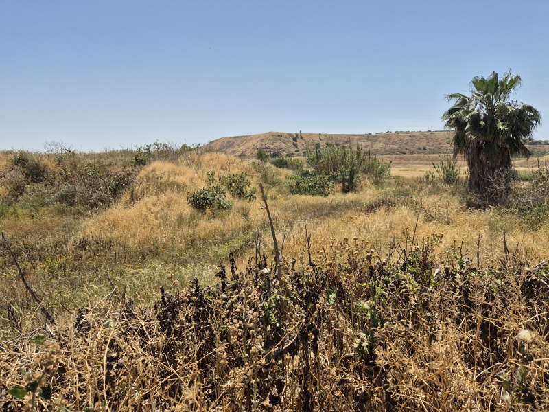 קובץ:2025-04-21T13 21 56.786225772580.jpg