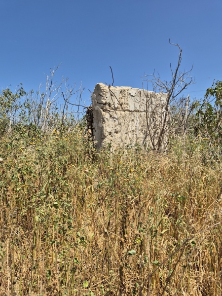 קובץ:2025-04-21T13 28 42.793923536541.jpg
