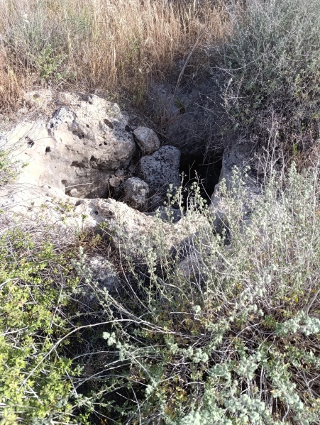 קובץ:2025-04-22T17 08 51.217597123624.jpg