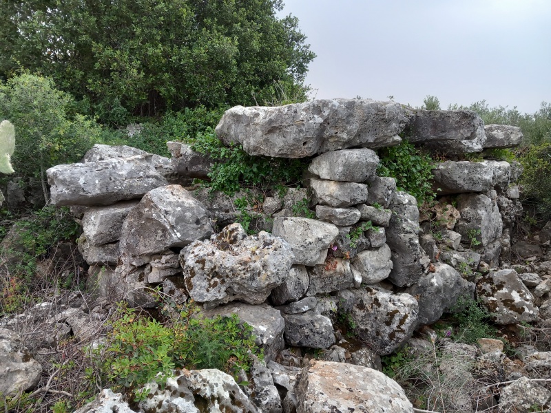 קובץ:2025-04-23T07 14 07.774330237034.jpg