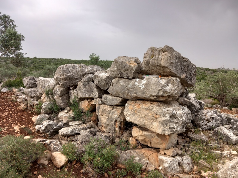 קובץ:2025-04-23T07 48 05.304765457063.jpg