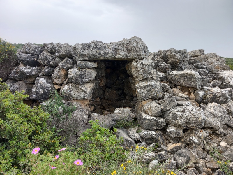 קובץ:2025-04-23T07 58 59.646765422189.jpg