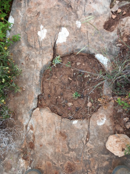 קובץ:2025-04-23T08 03 25.515713216124.jpg
