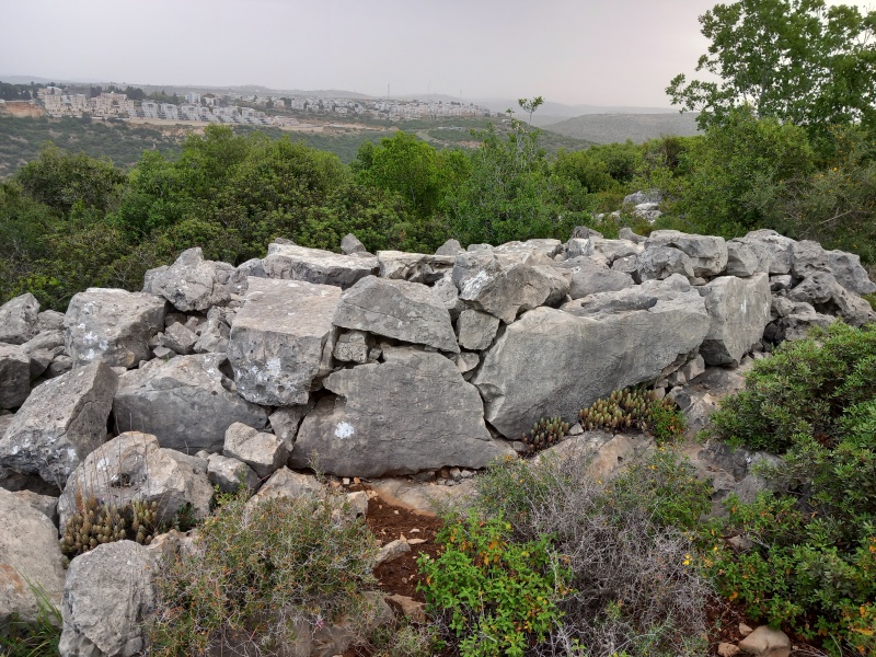 קובץ:2025-04-23T08 06 45.442308904448.jpg