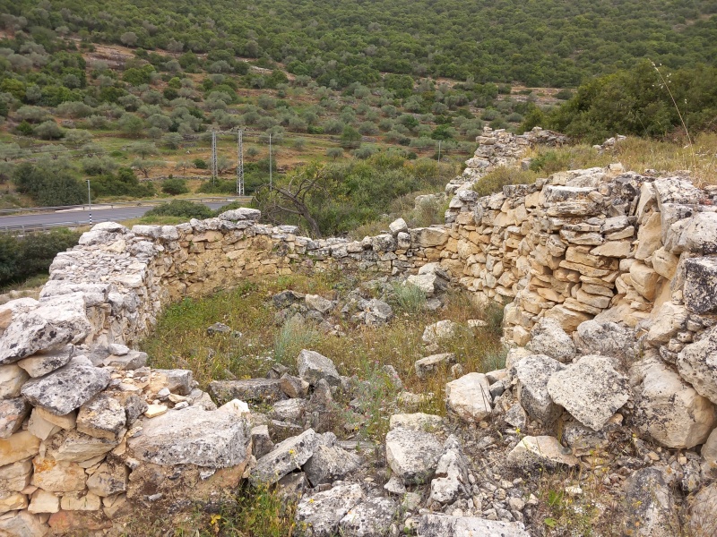 קובץ:2025-04-23T08 37 33.81703777297.jpg