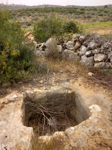 קובץ:2025-04-23T10 47 02.260952451856.jpg