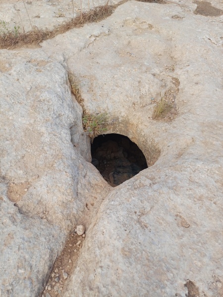 קובץ:2025-04-24T08 02 08.344273888829.jpg