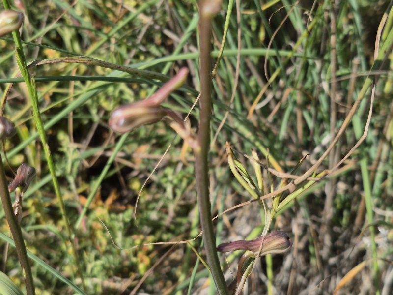 קובץ:2025-04-26T08 46 10.742608984048.jpg