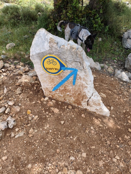 קובץ:2025-04-26T11 01 02.325013938014.jpg
