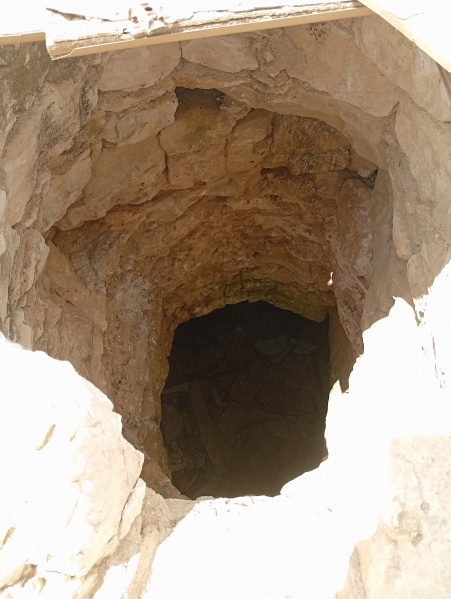 קובץ:2025-04-26T11 59 16.065098703302.jpg