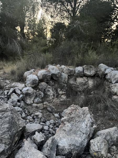 קובץ:2025-04-26T19 29 58.36853473666.jpg