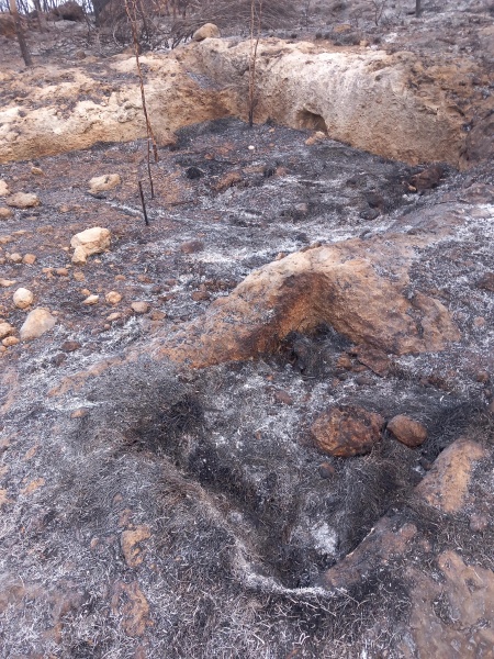 קובץ:2025-04-27T06 35 34.972460141411.jpg