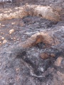 תמונה ממוזערת לגרסה מתאריך 03:16, 27 באפריל 2025