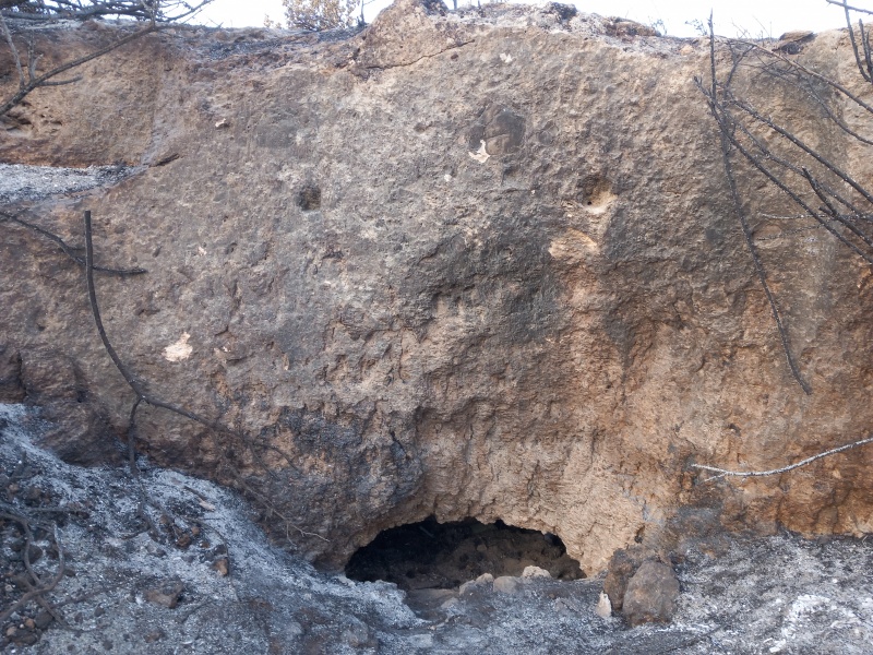 קובץ:2025-04-27T06 42 17.978462442767.jpg