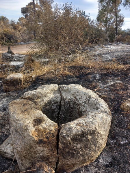 קובץ:2025-04-27T07 47 04.83602036612.jpg