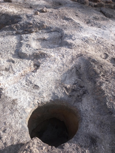 קובץ:2025-04-27T07 47 18.018244119231.jpg