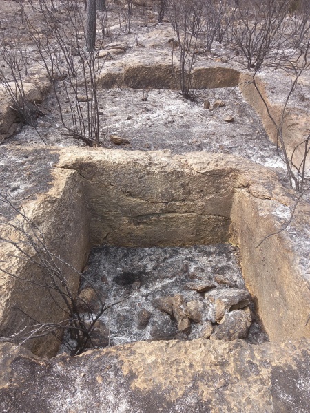 קובץ:2025-04-27T09 07 47.950742310845.jpg