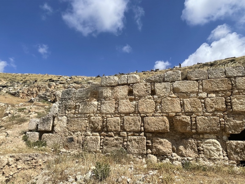 קובץ:2025-04-27T09 59 31.348450606433.jpg