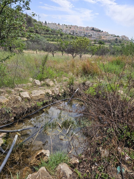 קובץ:2025-04-27T14 50 37.673280715042.jpg