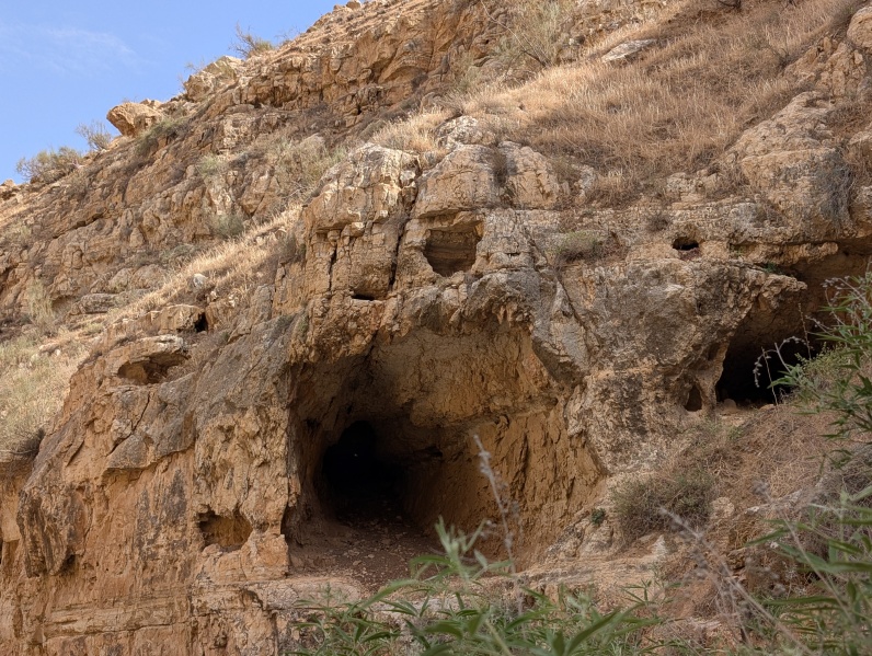 קובץ:2025-04-27T15 45 30.972199253723.jpg