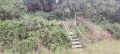 תמונה ממוזערת לגרסה מתאריך 10:58, 30 באפריל 2025