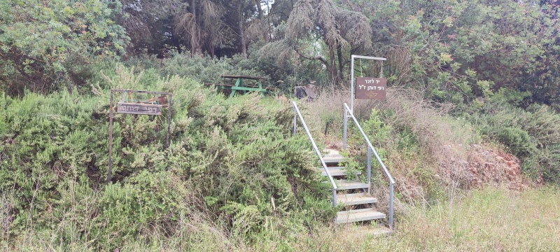 קובץ:2025-04-30T14 14 49.312010763034.jpg