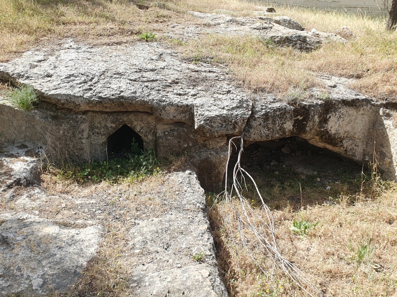 קובץ:2025-05-01T10 14 57.657676874727.jpg