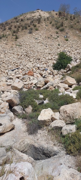 קובץ:2025-05-01T10 55 50.939990146524.jpg