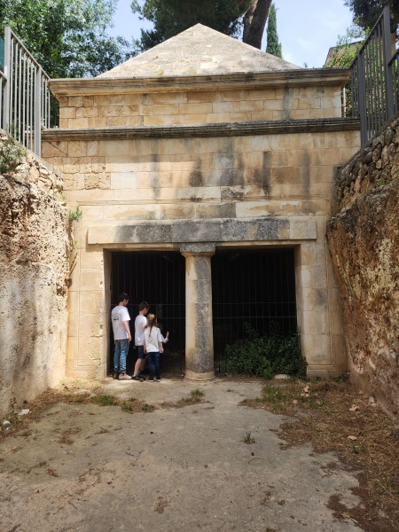 קובץ:2025-05-01T11 39 40.507950436294.jpg