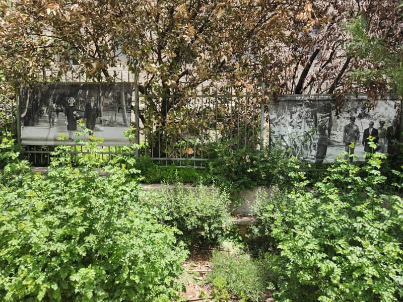 קובץ:2025-05-01T12 49 26.826348789549.jpg