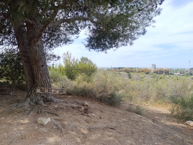 קובץ:2025-05-01T13 06 26.251091216151.jpg