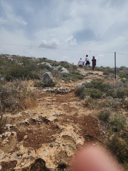 קובץ:2025-05-01T13 41 43.577003341391.jpg