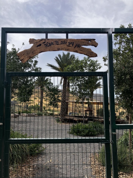 קובץ:2025-05-01T14 51 33.751823804861.jpg