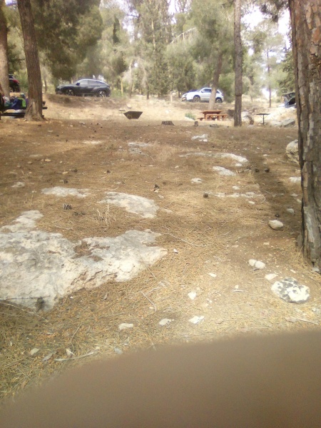 קובץ:2025-05-01T16 04 42.393112981759.jpg
