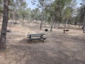 תמונה ממוזערת לגרסה מתאריך 13:24, 1 במאי 2025