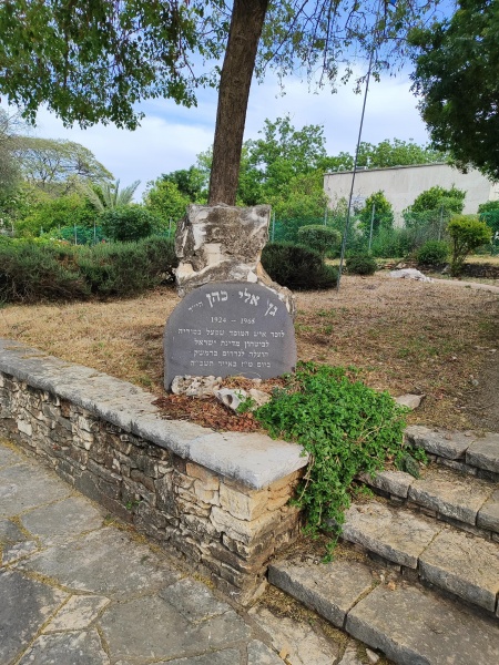 קובץ:2025-05-01T16 59 41.531107763180.jpg