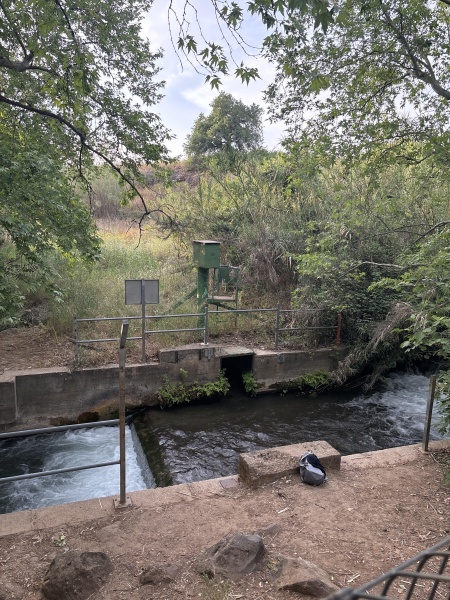 קובץ:2025-05-01T18 30 52.722007215711.jpg