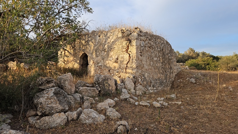 קובץ:2025-05-01T20 19 17.462172790616.jpg