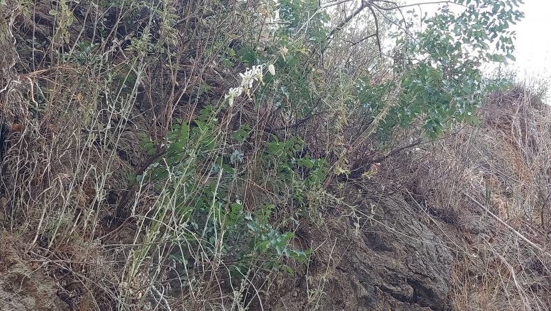 קובץ:2025-05-02T10 18 51.996587852003.jpg
