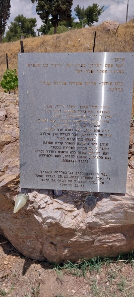 קובץ:2025-05-02T12 19 12.839439260888.jpg