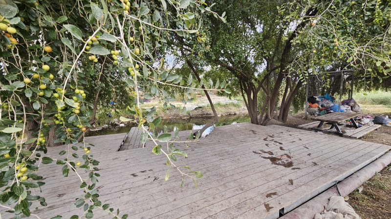 קובץ:2025-05-02T12 23 50.538875894932.jpg
