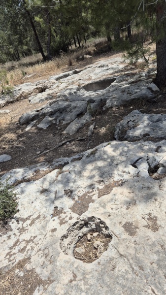 קובץ:2025-05-02T12 38 54.628935844798.jpg