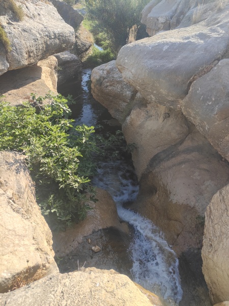 קובץ:2025-05-02T17 28 22.380887660394.jpg