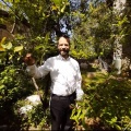 תמונה ממוזערת לגרסה מתאריך 14:49, 2 במאי 2025