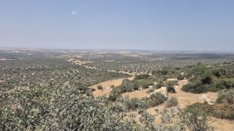 קובץ:2025-05-03T13 44 49.579718142995.jpg