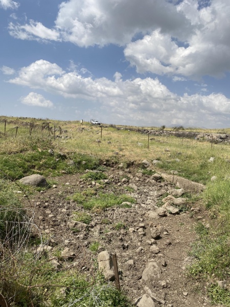 קובץ:2025-05-03T14 51 39.227582842370.jpg