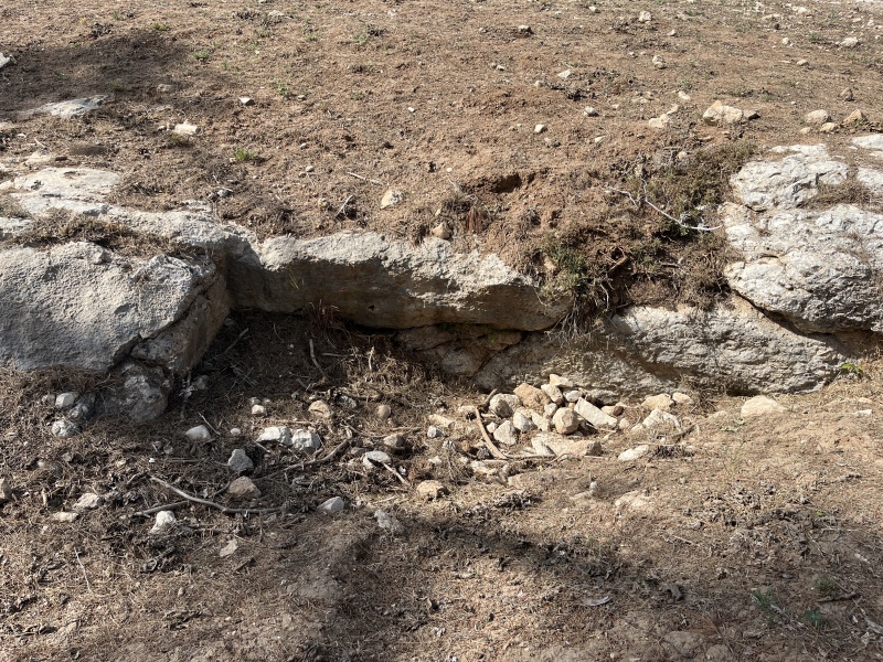 קובץ:2025-05-03T15 52 20.060749358643.jpg