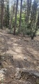 תמונה ממוזערת לגרסה מתאריך 12:35, 3 במאי 2025