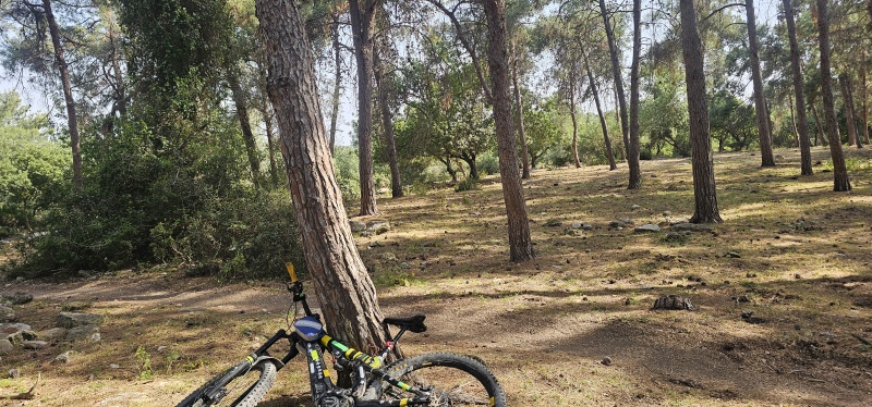 קובץ:2025-05-03T16 04 25.208830217254.jpg