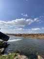 תמונה ממוזערת לגרסה מתאריך 12:55, 3 במאי 2025
